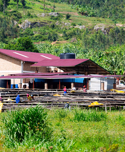 Rwanda, BAHO, Anaerobisk Fermentert