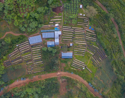 Rwanda, BAHO, Anaerobisk Fermentert