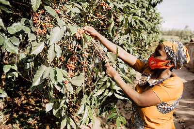 Rwanda, Gisanga, Natural